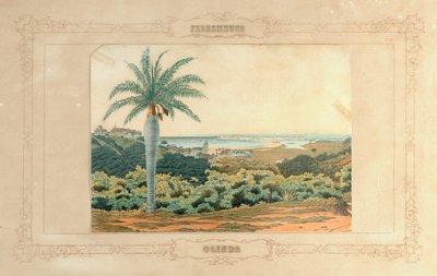 Olinda by Emil Bauch